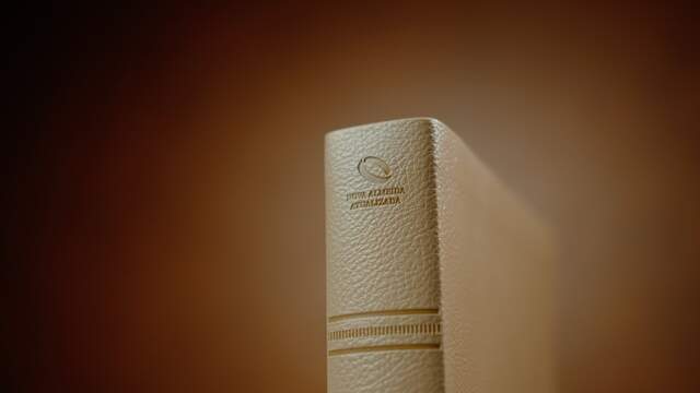 still de still life de textura — space.